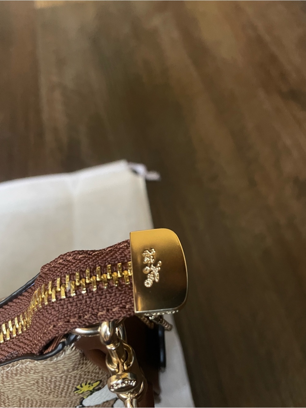 Coach X Peanuts Teri Bag - Picture 4 of 6